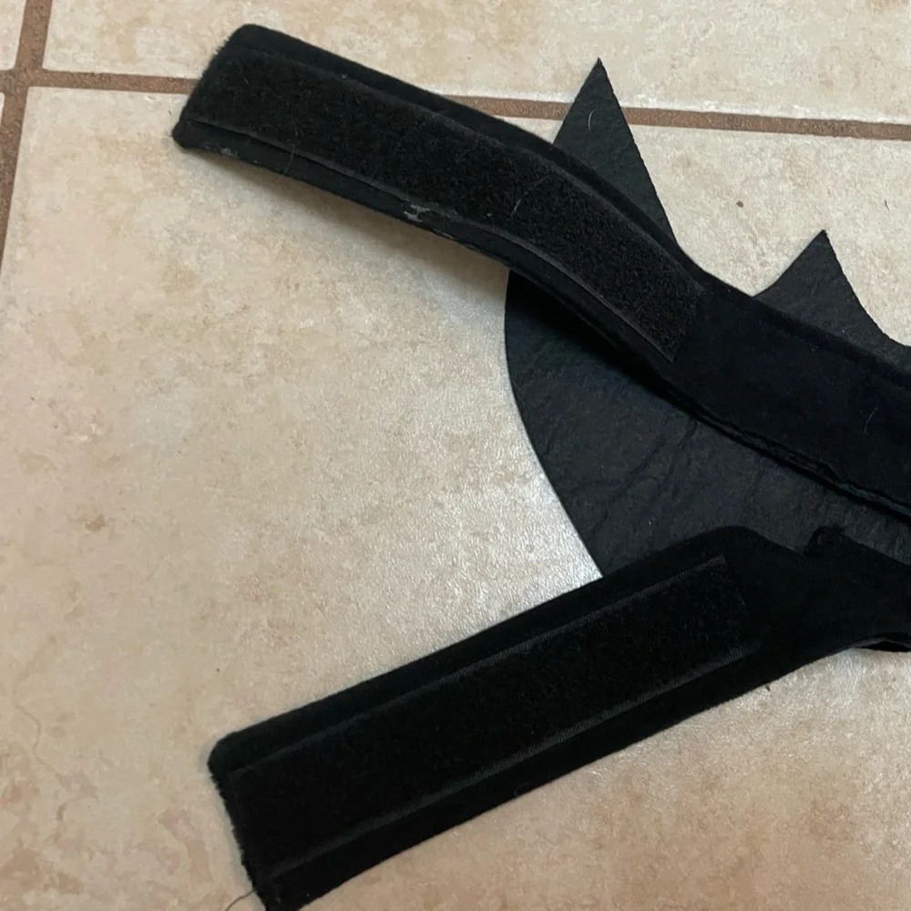 Frisco Bat Wings Dog & Cat Costume, Medium / Large